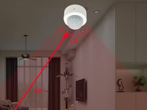 Distanza Sensore PIR ZigBee - Batteria CR2032 - TUYA