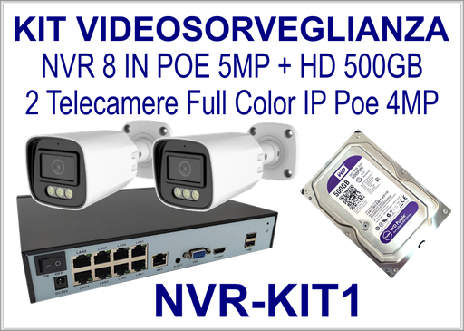 Kit NVR PoE 8 Ingressi con 2 Telecamere Bullet 4MP Full Color e Hard Disk 500GB