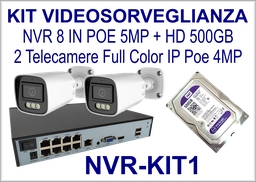 Kit NVR PoE 8 Ingressi con 2 Telecamere Bullet 4MP Full Color e Hard Disk 500GB